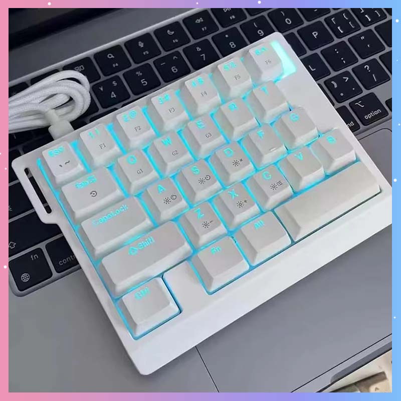 Gaming Keyboard Esports - คีย์บอร์ดเกมมิ่งแบบกลไก HE30 29 ปุ่ม สวิตช์แม่เหล็ก 8000HZ
