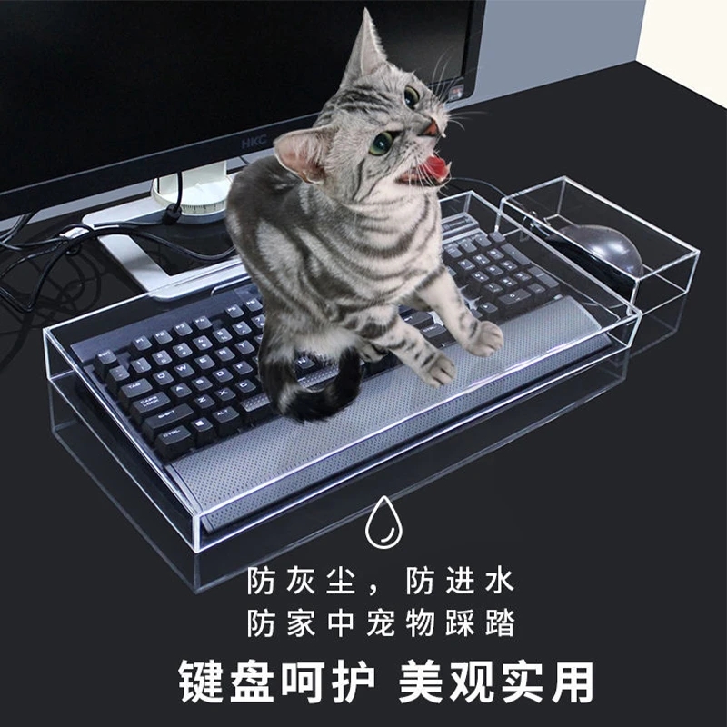 คีย์บอร์ดฝุ่นอะคริลิคใหม่ Capa - Gaming Keyboard Ergo บทวิจารณ์และราคา
