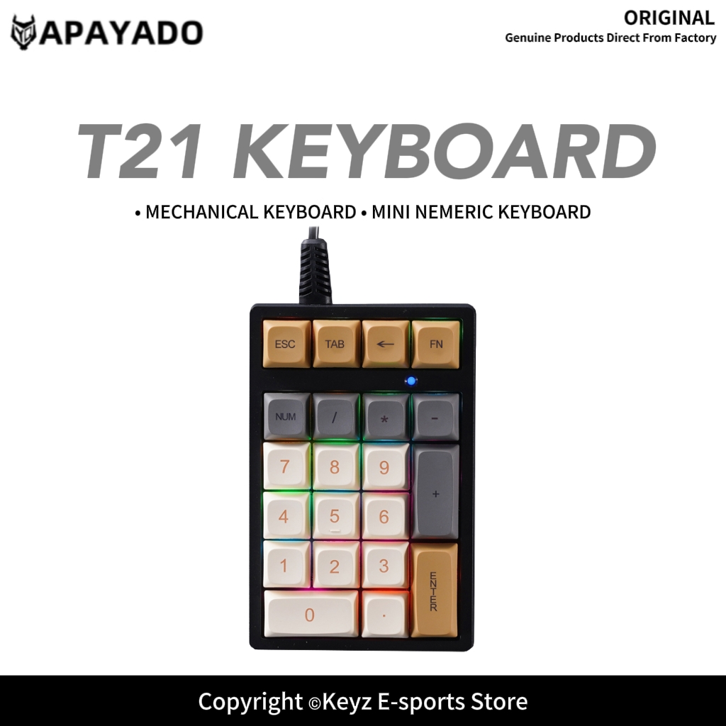T21 แป้นพิมพ์ตัวเลขขนาดเล็ก RG - Keyboard Gaming Blue Switch บทวิจารณ์และราคา